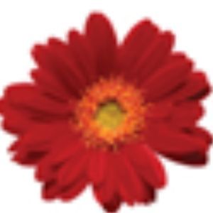 Meet your Posher, Danell